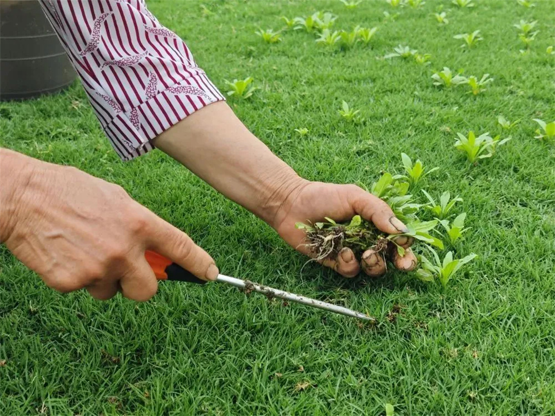 萬豪集團(tuán)匠心助力，6月齊聚重慶龍興足球場為國足吶喊助威！