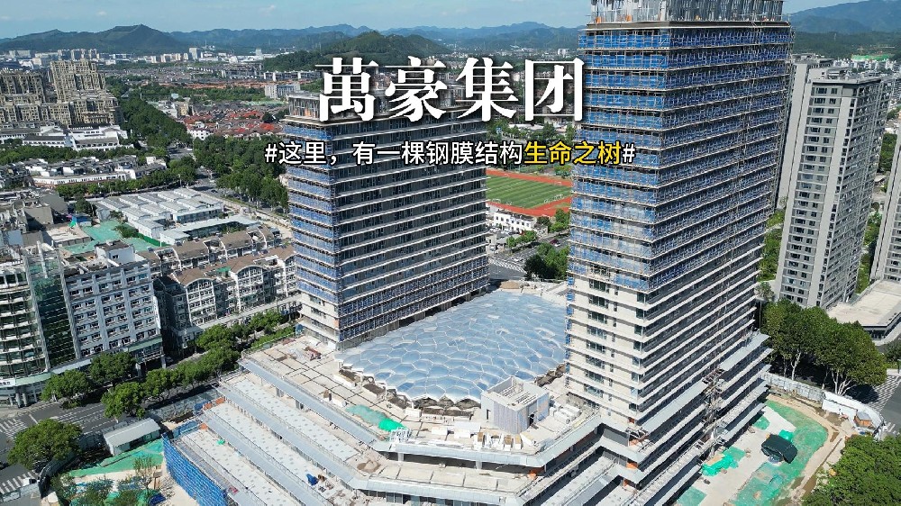 鋼膜結(jié)構(gòu)組成的生命之樹(shù)