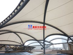 膜結構與膜有什么區別？膜結構有哪些類別？