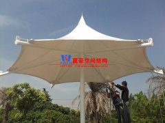 膜結(jié)構(gòu)形態(tài)有哪幾種？分別有哪些特點(diǎn)特征？