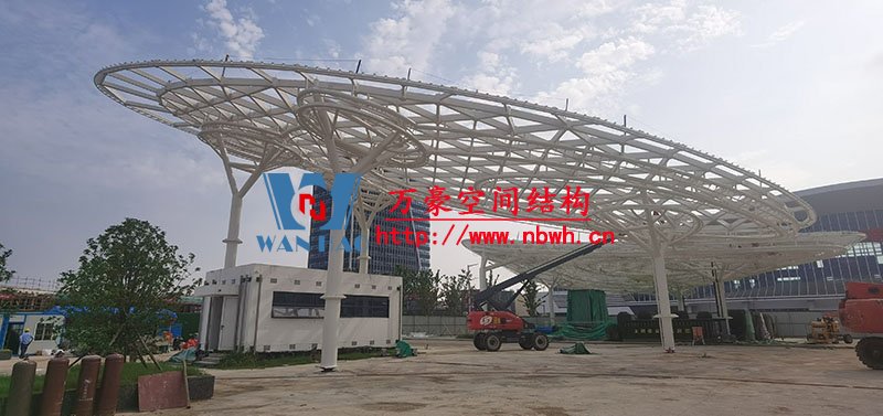 膜結(jié)構(gòu)